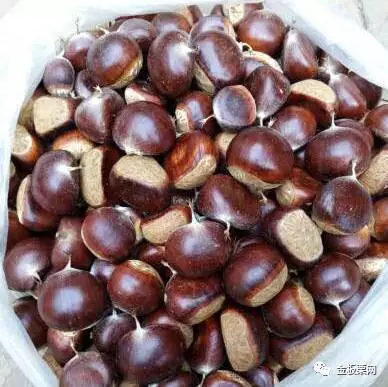 禄劝批发