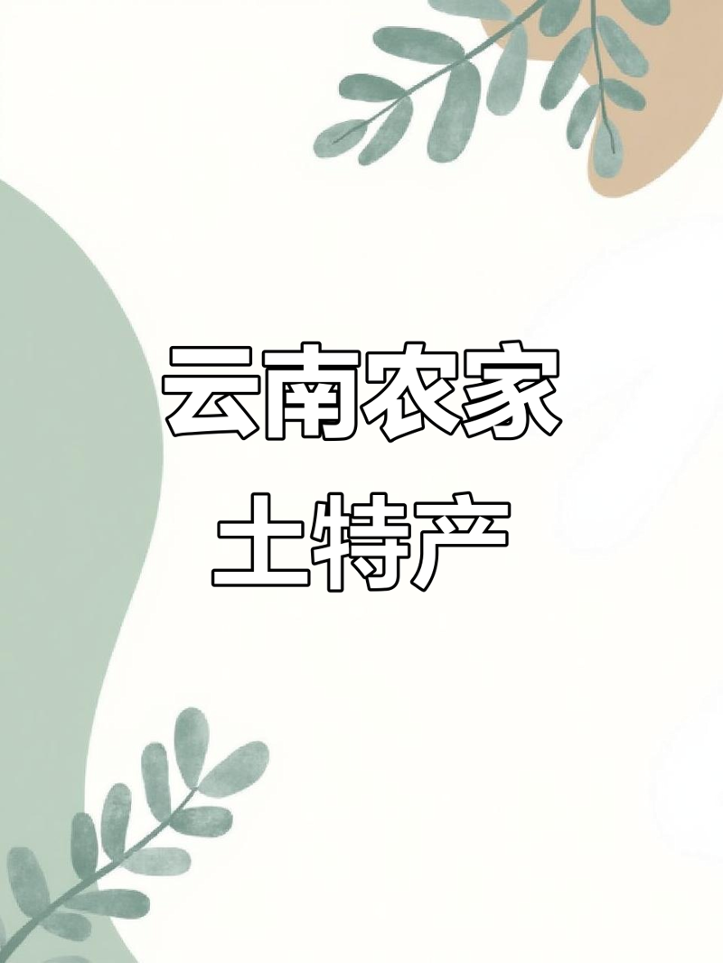 如何轻松掌握日用百货批发的秘密？